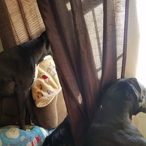 Meet your Posher, Kristy